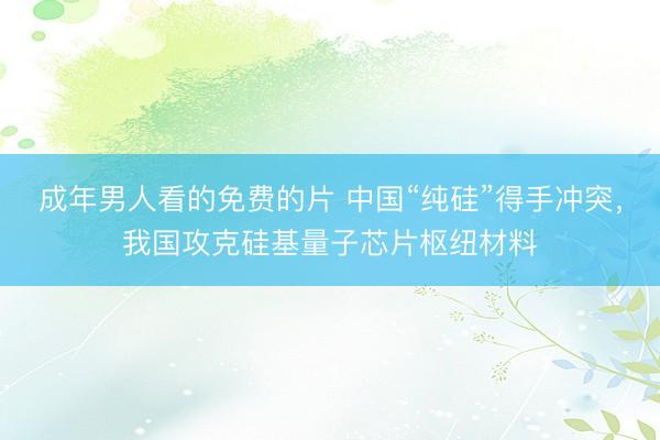 成年男人看的免费的片 中国“纯硅”得手冲突，我国攻克硅基量子芯片枢纽材料