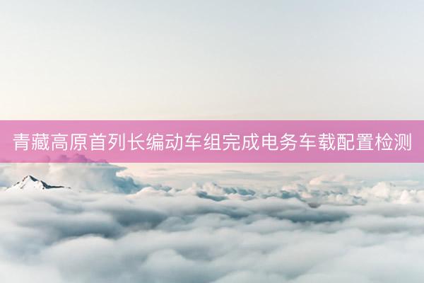 青藏高原首列长编动车组完成电务车载配置检测
