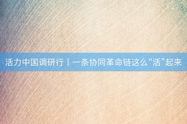 活力中国调研行丨一条协同革命链这么“活”起来