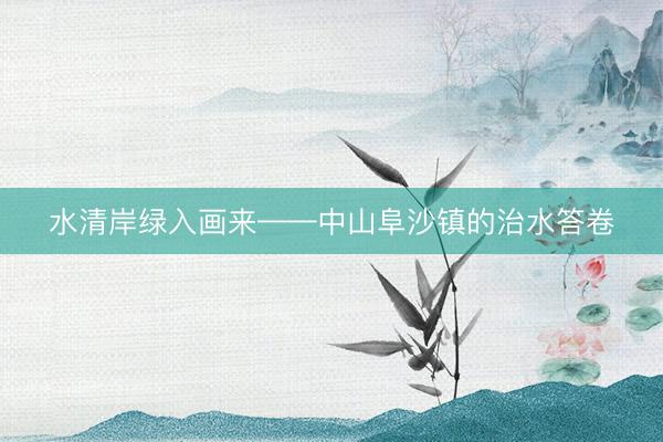 水清岸绿入画来——中山阜沙镇的治水答卷