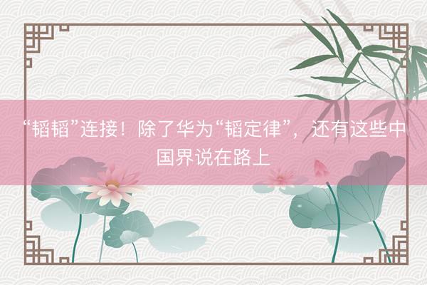 “韬韬”连接！除了华为“韬定律”，还有这些中国界说在路上