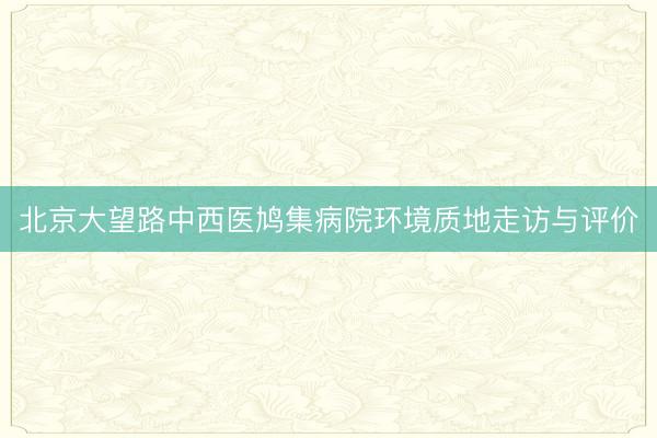 北京大望路中西医鸠集病院环境质地走访与评价